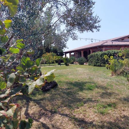 La Piana Di Alsium Villa Ladispoli Kültér fotó