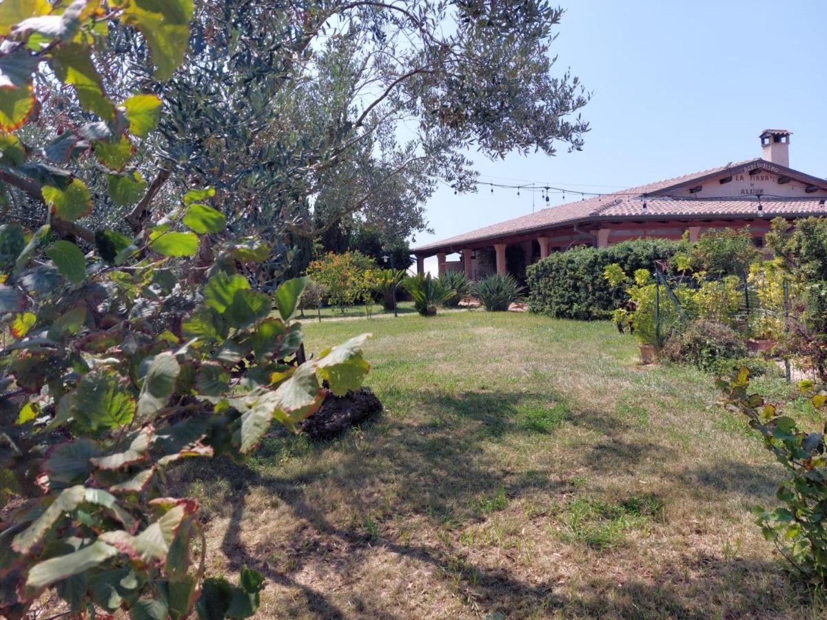 La Piana Di Alsium Villa Ladispoli Kültér fotó