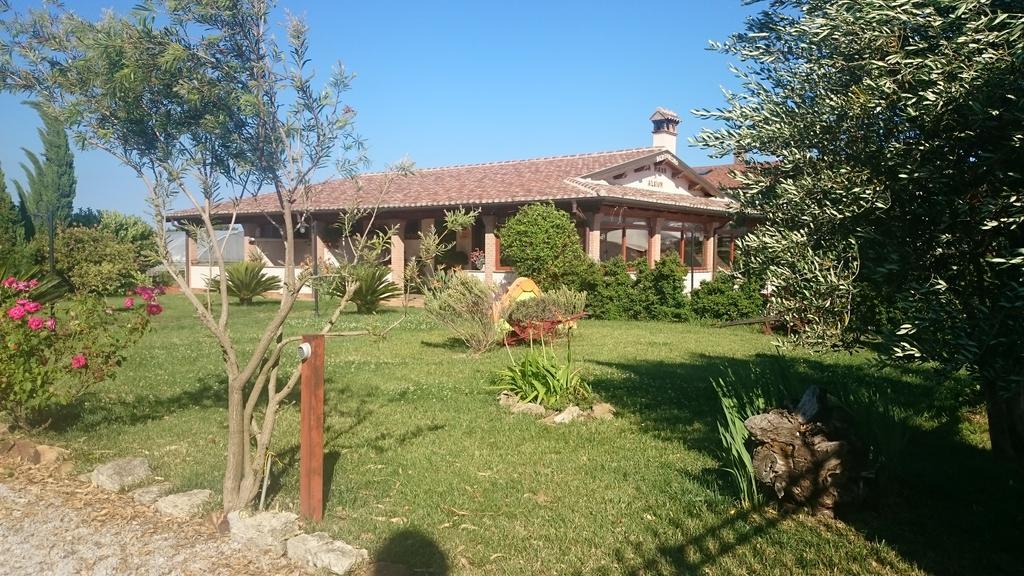 La Piana Di Alsium Villa Ladispoli Kültér fotó